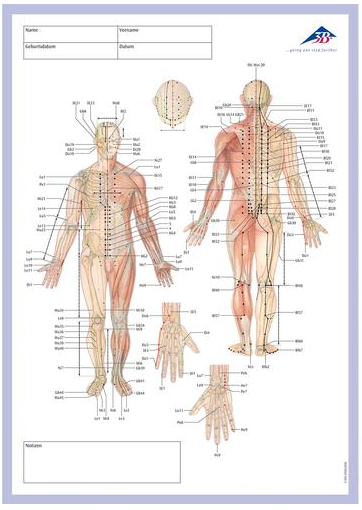 Visible Body 3d Human Anatomy Atlas For Mac Cracked Rar